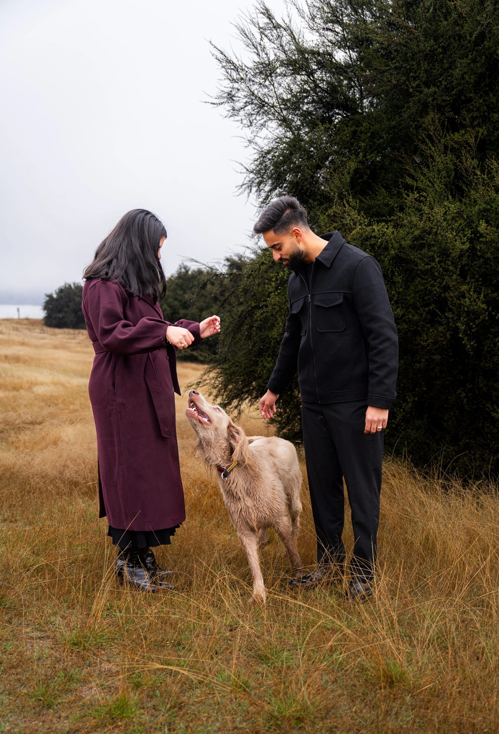 Gurkirat's Proposal still 36
